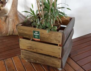 JARDINAGEM