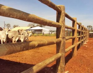 LINHA RURAL
