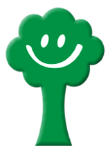 MADEIRA TRATADA