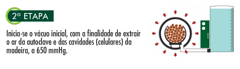 etapa2.jpg