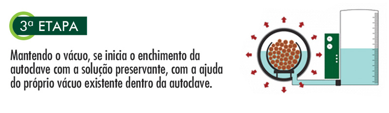 etapa3.jpg