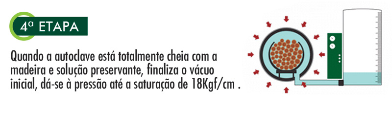 etapa4.jpg