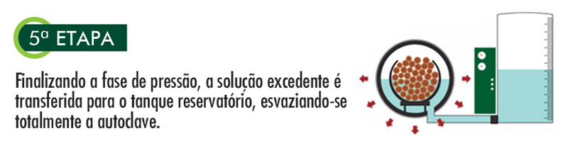 etapa5.jpg
