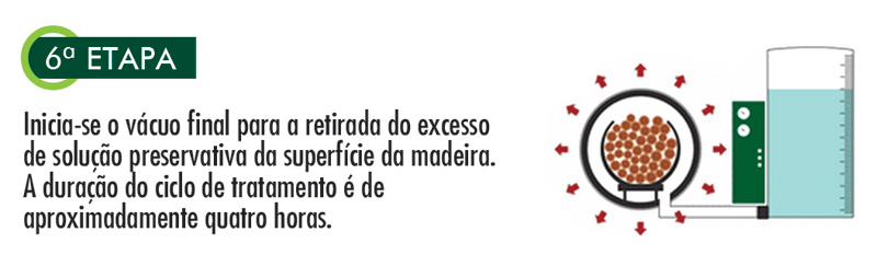 etapa6.jpg